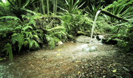 Bamboo Water Feature 120724014