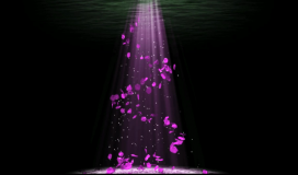 Petals Falling Flying Dynamic Background 280624010