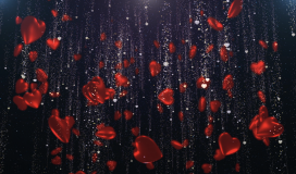 Hiệu Ứng Lễ Tình Nhân - Valentine 142 - 010225003
